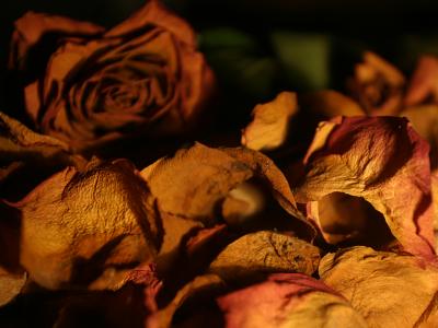 September 19 2005: Last Colours
