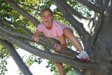 Chandra in a tree