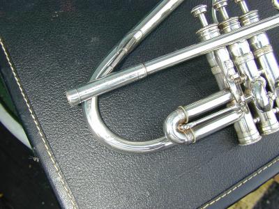 DSCN2390.JPG