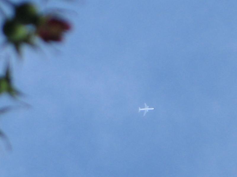 Ghost plane?, never leaves a contrail.