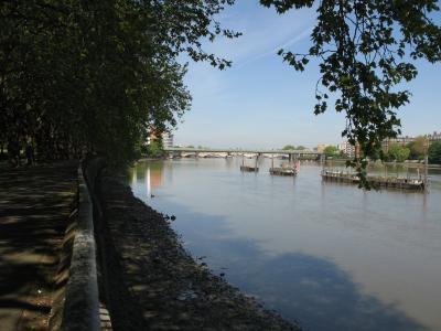 Looking up river from Wandsworth Park