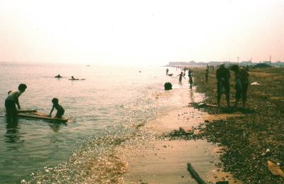 Looking for gold coins on a Leysdown beach.