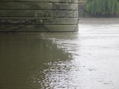 Hiding under Putney Bridge from the heavy rain.