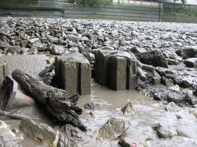 Possibly the footings for the old Putney Bridge.