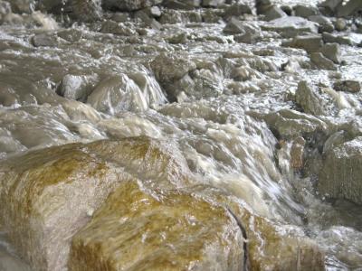 The rocks and stones here are covered in a brown slimy substance.