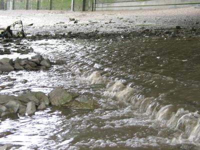 Watershed under Putney Bridge.