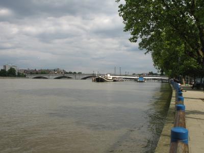 High tide looking towards Putney bridge.