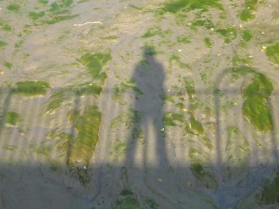 My silhouette in the drawdock mud.