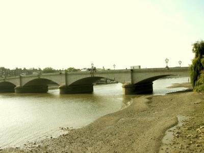 From Riverside Walk, Fulham.