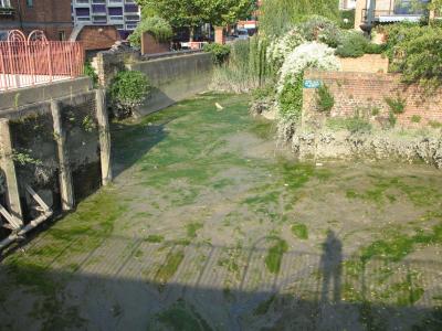 Disused drawdock basin.