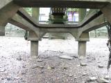 Supports of Putney Pier.