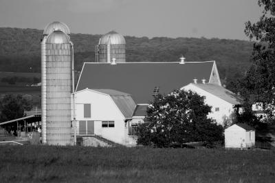 farm