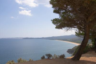 _MG_4151.jpg