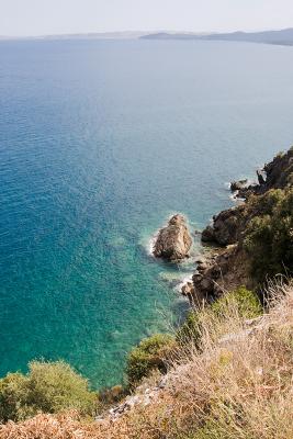 _MG_4154.jpg