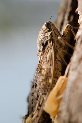 _MG_4233.jpg