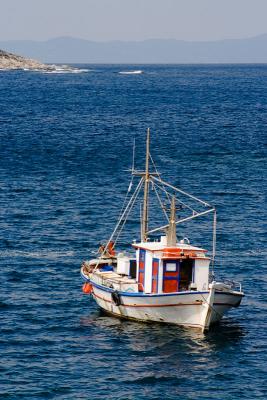 _MG_4220_800.jpg