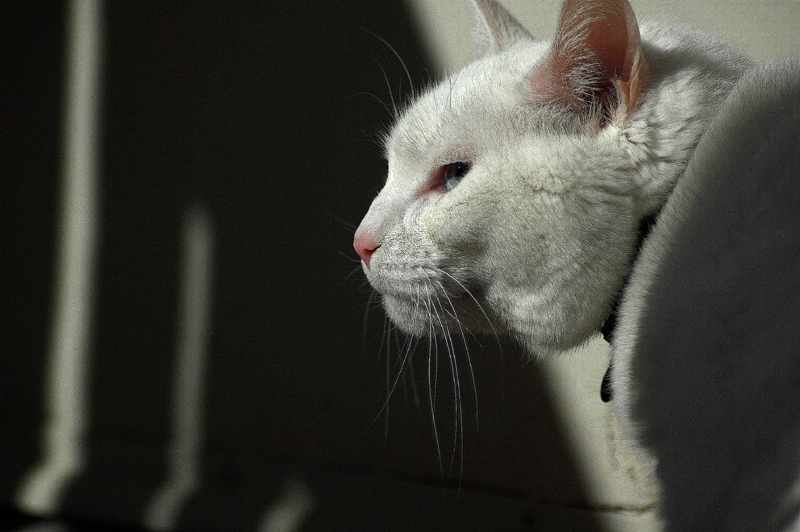 20050623 / Calm
