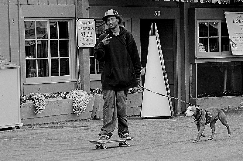 Monterey, CA / Peace on Wheels