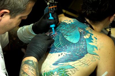Peacock
