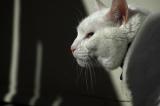 20050623 / Calm