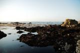 20050918 / Asilo-glass