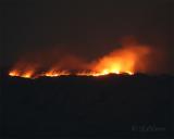 Fire_6.jpg