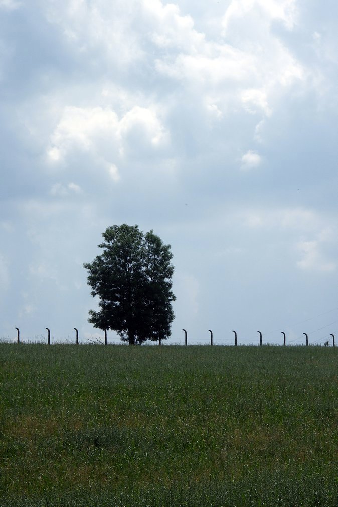 PICT0769.JPG