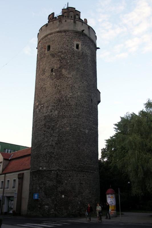 PICT1492.JPG