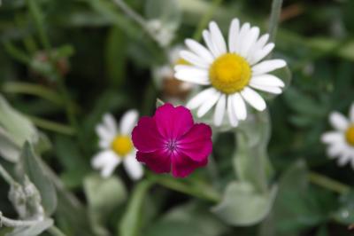 PICT0723.JPG