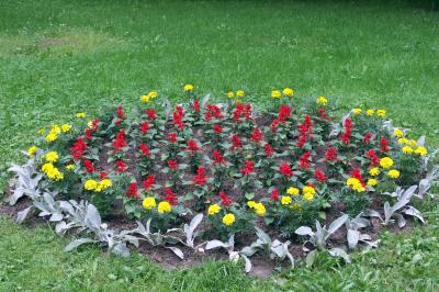 PICT1092.JPG