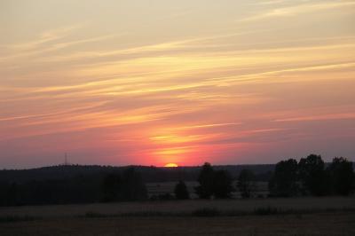 PICT1484.JPG