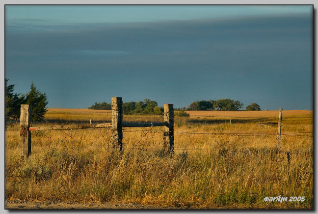 The early hours,... a touch of frost, a tad of fall, lots of color ... 