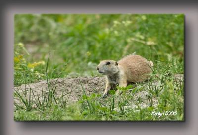 'ready to run ... !!!'