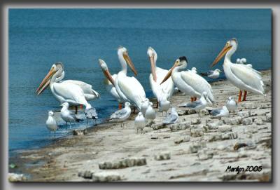 'getting our toes wet ... '