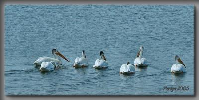 'trying to catch a wave ... '