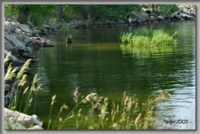 'patches of sunlight ... '