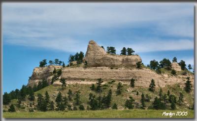 'ridges of pine ... '