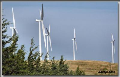 Wind Turbine Field ...