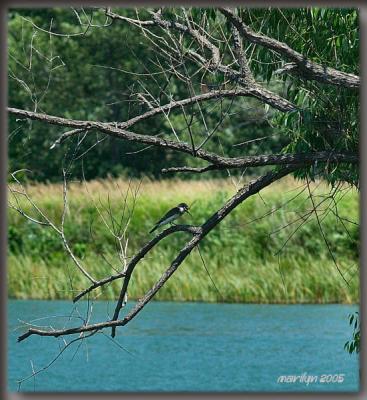 Burke Recreational Lake