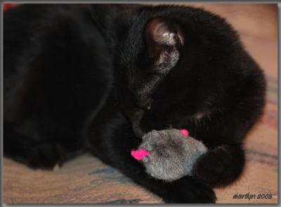 'i LUV my mouse ... '