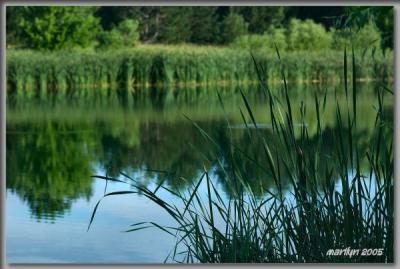 'Finally at Moody's Pond ... '