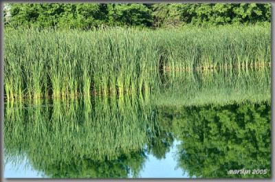 'Finally at Moody's Pond ... '