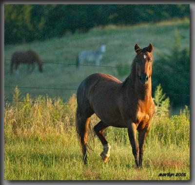 The river road along the Niobrara River ... 