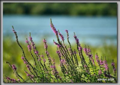 The river road along the Niobrara River ...