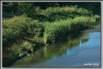 The river road along the Niobrara River ...