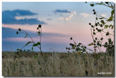 north of town ...