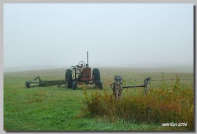 'A foggy then cloudy day ... '