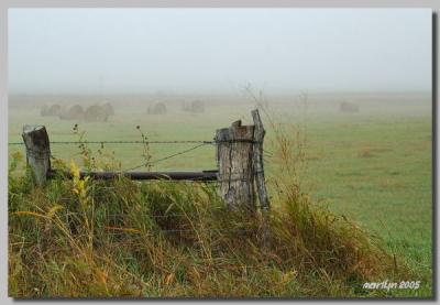 'A foggy then cloudy day ... '