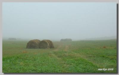 'A foggy then cloudy day ... '