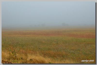 'A foggy then cloudy day ... '